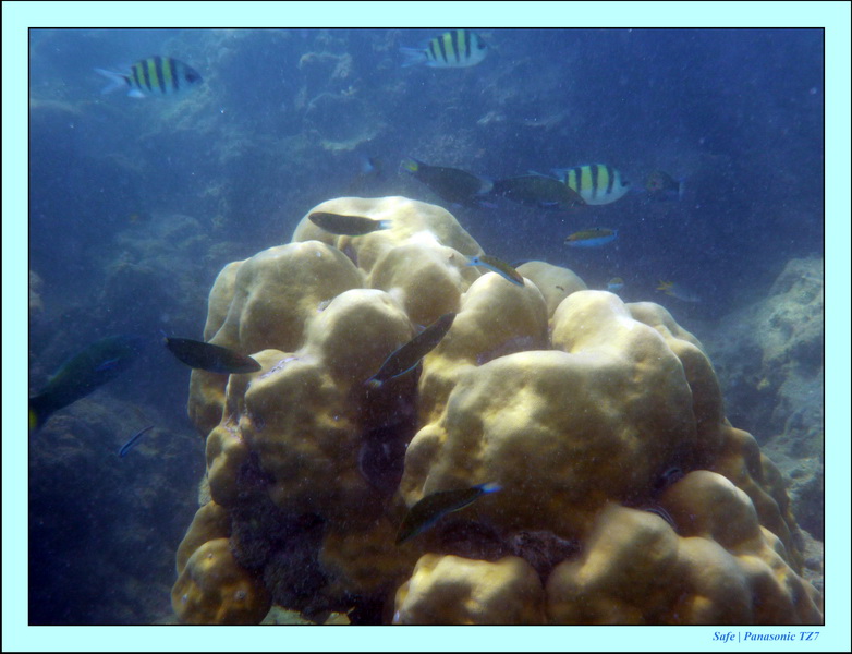 2011 - 03 - Koh Ngai 072